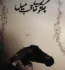 Jugnoo Mere Taqub Mein By Asma Rehman Complete Free Pdf