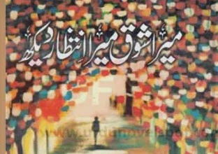 Mera Shauq Mera Intizar Daikh Novel By Aneeza Syed