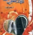 Na Jana Shehar e Dil Se Novel By Anjum Ansar Free PDF