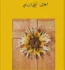 Zard Ruton Ka Akhri Phool Novel By Nabeela Abrar Raja PDF Free