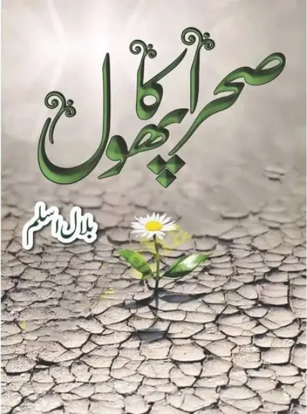 Sehra Ka Phool Novel By Bilal Asla