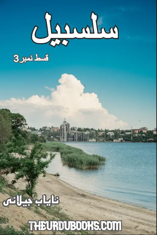 Salsabeel Episodes 3 by Nayab Jillani Free PDF
