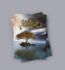 Maine Khwabon Ka Shajar Dekha Hai Novel By Umera Ahmed