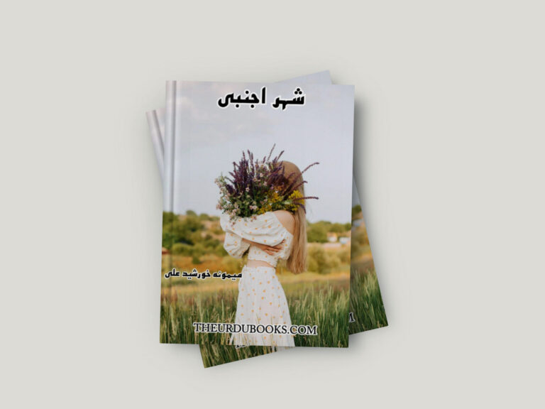 Shehr E Ajnabi Novel