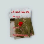 Angna Phool Khilenge Episode 16 Novel By Rahat Jabeen